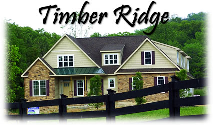 Custom Model Elevation